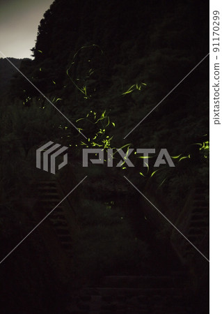 一年只能看 10 天的 Hotaria parvula 燈節 一年只能看 10 天的 Hotaria parvula 燈節 91170299