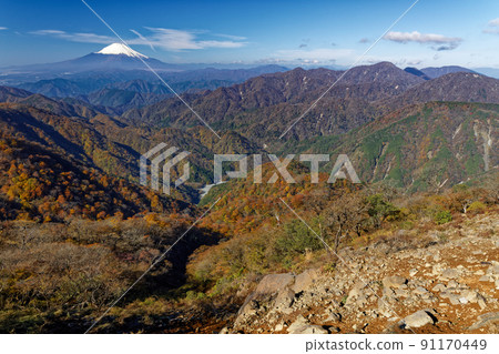 從丹澤/友岳到紅葉山和富士山 91170449