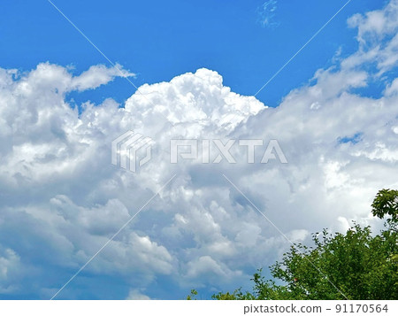 Midsummer blue sky, white clouds and green 91170564
