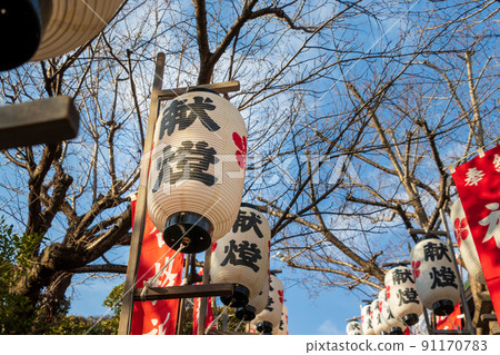 Lanterns lined up on the approach to the shrine Lanterns lined up on the approach to the shrine 91170783