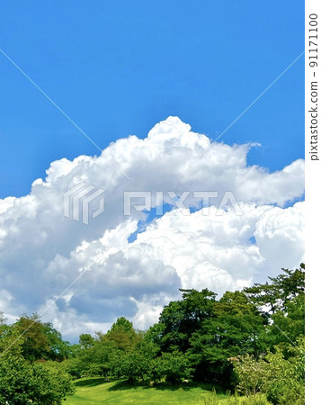 Bright lawn, forest and white clouds in the blue sky in summer 91171100