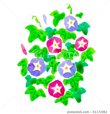A simple hand-painted, watercolor-style morning glory illustration that can be used for summer greetings, etc. 91172062