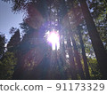 Radial light of HAPPY mountain 91173329