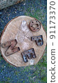 OPEN on the stump 91173370