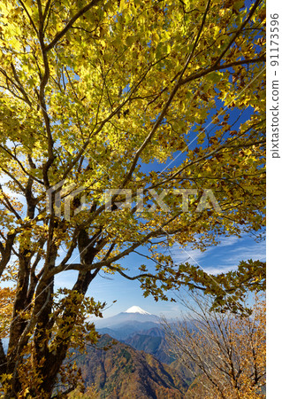 秋色從田澤和鍋原山看到的富士山 91173596