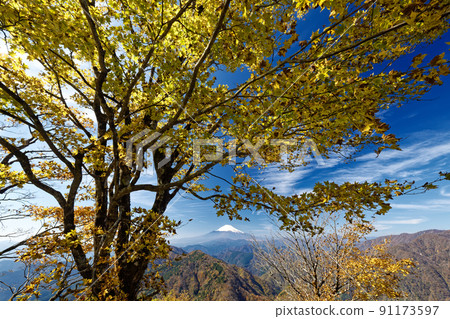 秋色從田澤和鍋原山看到的富士山 91173597