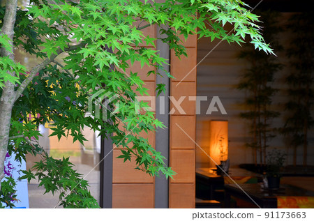 The entrance of a modern Japanese-style inn 91173663