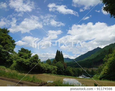 Scenery during farm work 91174566