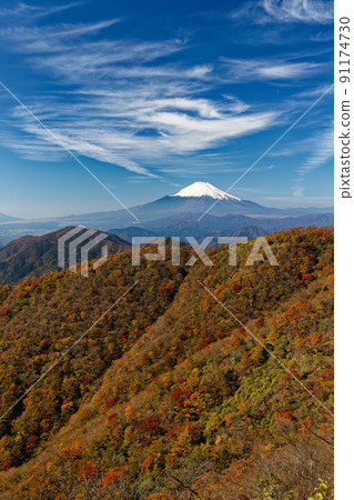 Autumnal leaves Tanzawa · Nabebarasan and Mt. Fuji 91174730