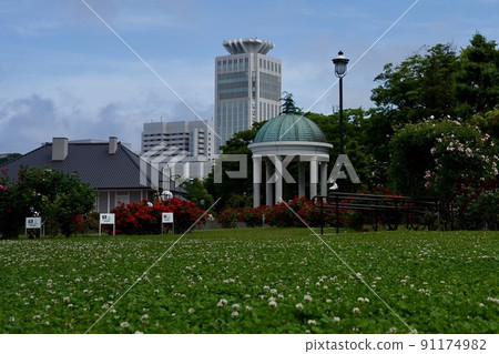Roses of Yokosuka Velney Park 91174982