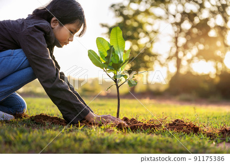 children planting small tree in sunset. concept save earth 91175386