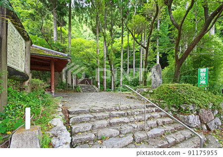 Choonnotaki, one of the 100 best water source forests in Ukiha City, Fukuoka Prefecture 91175955