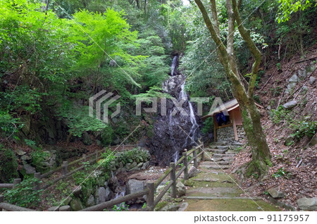 Choonnotaki, one of the 100 best water source forests in Ukiha City, Fukuoka Prefecture Choonnotaki, one of the 100 best water source forests in Ukiha City, Fukuoka Prefecture 91175957