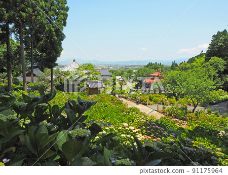 福岡縣久留米市的繡球花寺外都州龍鄉寺 91175964