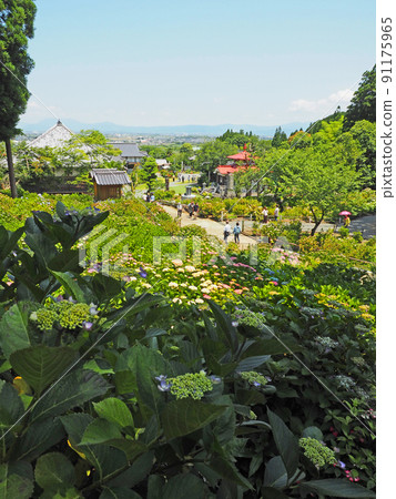 福岡縣久留米市的繡球花寺外都州龍鄉寺 福岡縣久留米市的繡球花寺外都州龍鄉寺 91175965
