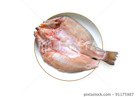 Plate, Snapper Fish, Acid, American Culture, Animal Body Part Plate, Snapper Fish, Acid, American Culture, Animal Body Part 91175987