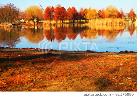 冬天的捨人公園風景（東京都足立區） 91176090