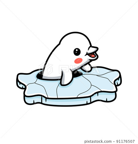Cute little beluga whale cartoon Cute little beluga whale cartoon 91176507