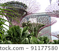 Marina Bay Sands as seen from Gardens by the Bay 91177580