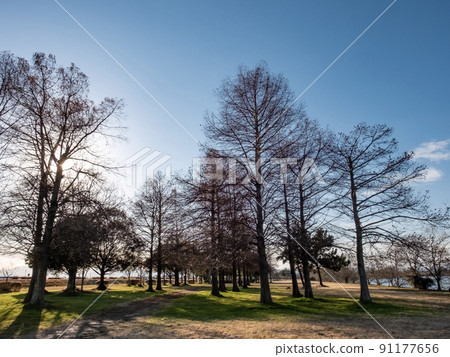 Kusatsu City, Shiga Prefecture, a landscape of Lake Biwa in winter with clear air 91177656