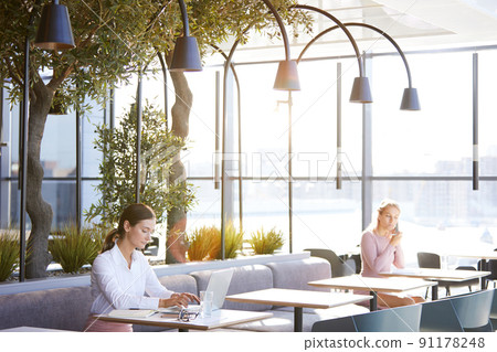 Serious young attractive business lady with ponytail sitting at table in cafe with wifi and typing on laptop 91178248