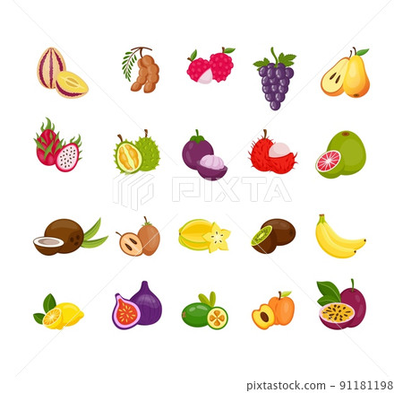 Hand drawn fruits. Doodle sketch summer food. Juicy papaya and peach. Sweet mango. Isolated exotic ingredients. Vegan organic meal. Ripe lychee and carambola. Tropical products set. Vector cartoon art 91181198