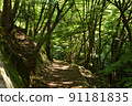 Mountain trail Ⅱ 91181835