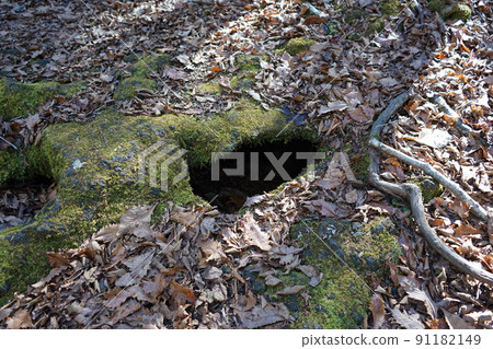 Aokigahara Jukai Aokigahara Jukai 91182149