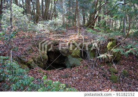 Aokigahara Jukai Aokigahara Jukai 91182152