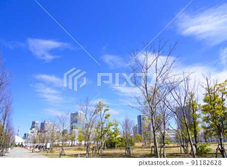 Spring Shibaura Chuo Park (Minato-ku, Tokyo) 91182628