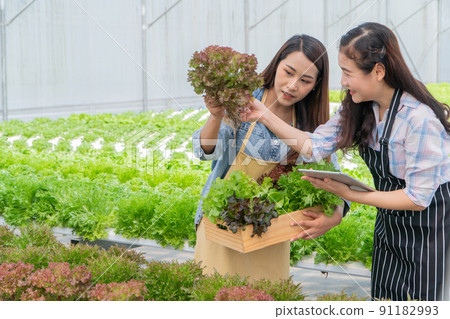 Asian woman farmer holding a vegetable basket of fresh vegetable salad on an organic farm. Concept of agriculture organic for health, Vegan food, and Small business. 91182993