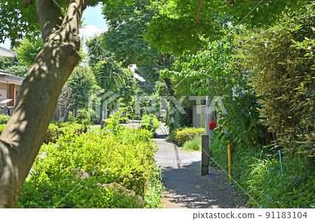 埼玉縣埼玉市大宮盆景村 91183104