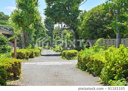 埼玉縣埼玉市大宮盆景村 埼玉縣埼玉市大宮盆景村 91183105