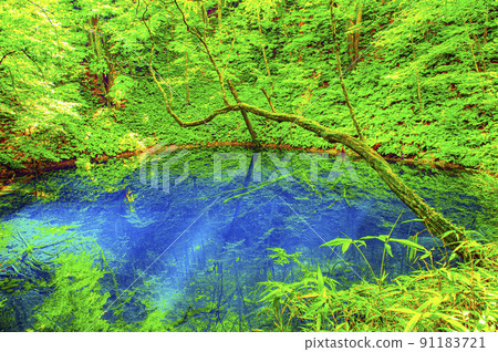 一個神秘的藍色池塘，閃耀著明亮的鈷藍色 91183721