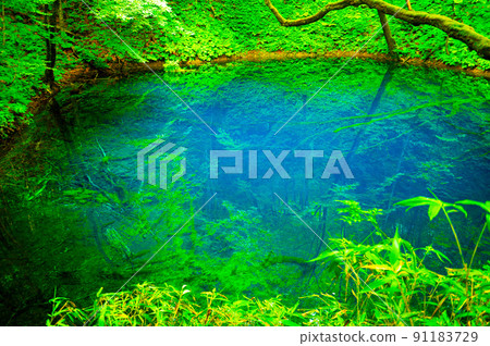 一個神秘的藍色池塘，閃耀著明亮的鈷藍色 91183729