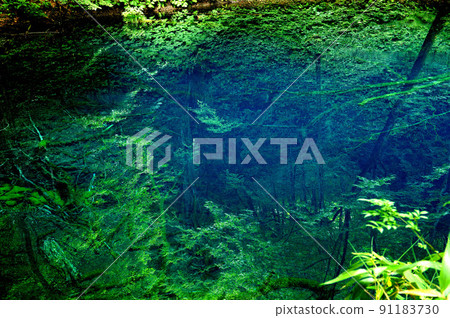 一個神秘的藍色池塘，閃耀著明亮的鈷藍色 91183730