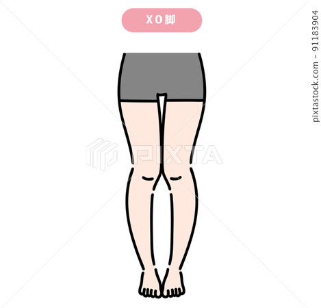 Female lower body with XO legs 91183904