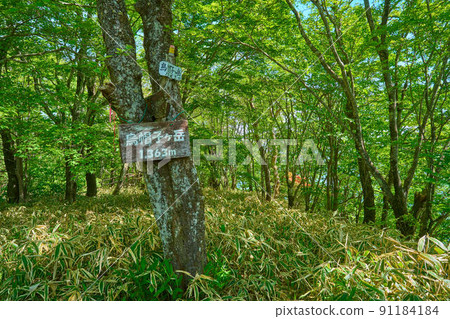 Gunma Prefecture Mt. Haruna (Eboshigatake) mountaintop sign Gunma Prefecture Mt. Haruna (Eboshigatake) mountaintop sign 91184184