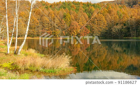 三沙凱池的紅葉景色 三沙凱池的紅葉景色 91186627