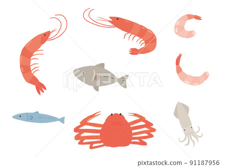 蝦、蟹、魚和魷魚的手繪插圖集（彩色/無輪廓） 91187956