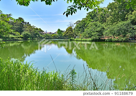 大宮公園 船池 埼玉縣立城市公園 大宮公園 船池 埼玉縣立城市公園 91188679