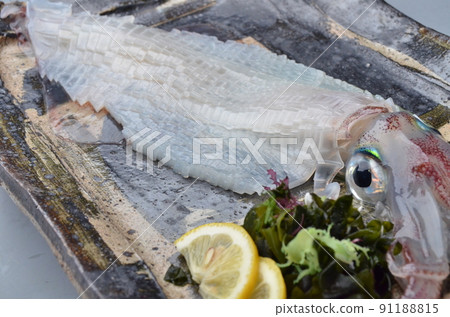 在籠子裡游泳的活魷魚 在籠子裡游泳的活魷魚 91188815
