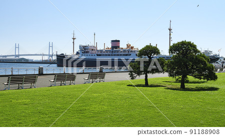 神奈川縣橫濱市山下公園的初夏 91188908