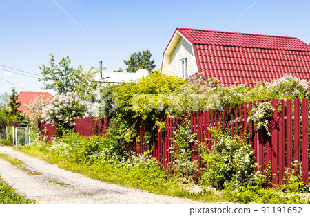 dirt road in summer cottage village in sunny day dirt road in summer cottage village in sunny day 91191652