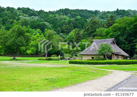 Omi Fudoki Hill 91193677