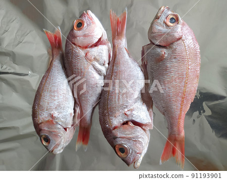 Cooking fresh fish on foil. Top view and close up. Healthy sea food. Diet meal preparation. Cooking fresh fish on foil. Top view and close up. Healthy sea food. Diet meal preparation. 91193901