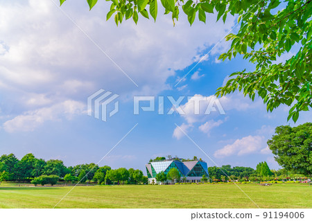 從草坪廣場眺望水晶花的湖南花卉公園<愛知縣港南市> 從草坪廣場眺望水晶花的湖南花卉公園<愛知縣港南市> 91194006