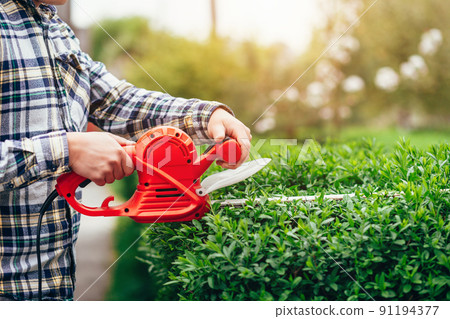 Man mows shrubs with electric trimmer for bushes. 91194377