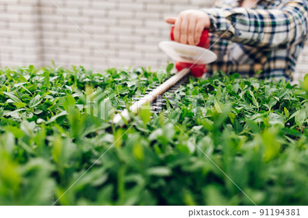 Man cuts green bushes with an electric trimmer. 91194381