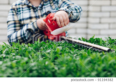 Cutting a shrub with an electric brush cutter. 91194382